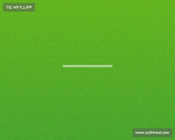 郑智:从绿茵场上的指挥官到足球文化的传承者,见证中国足球的变迁与未来